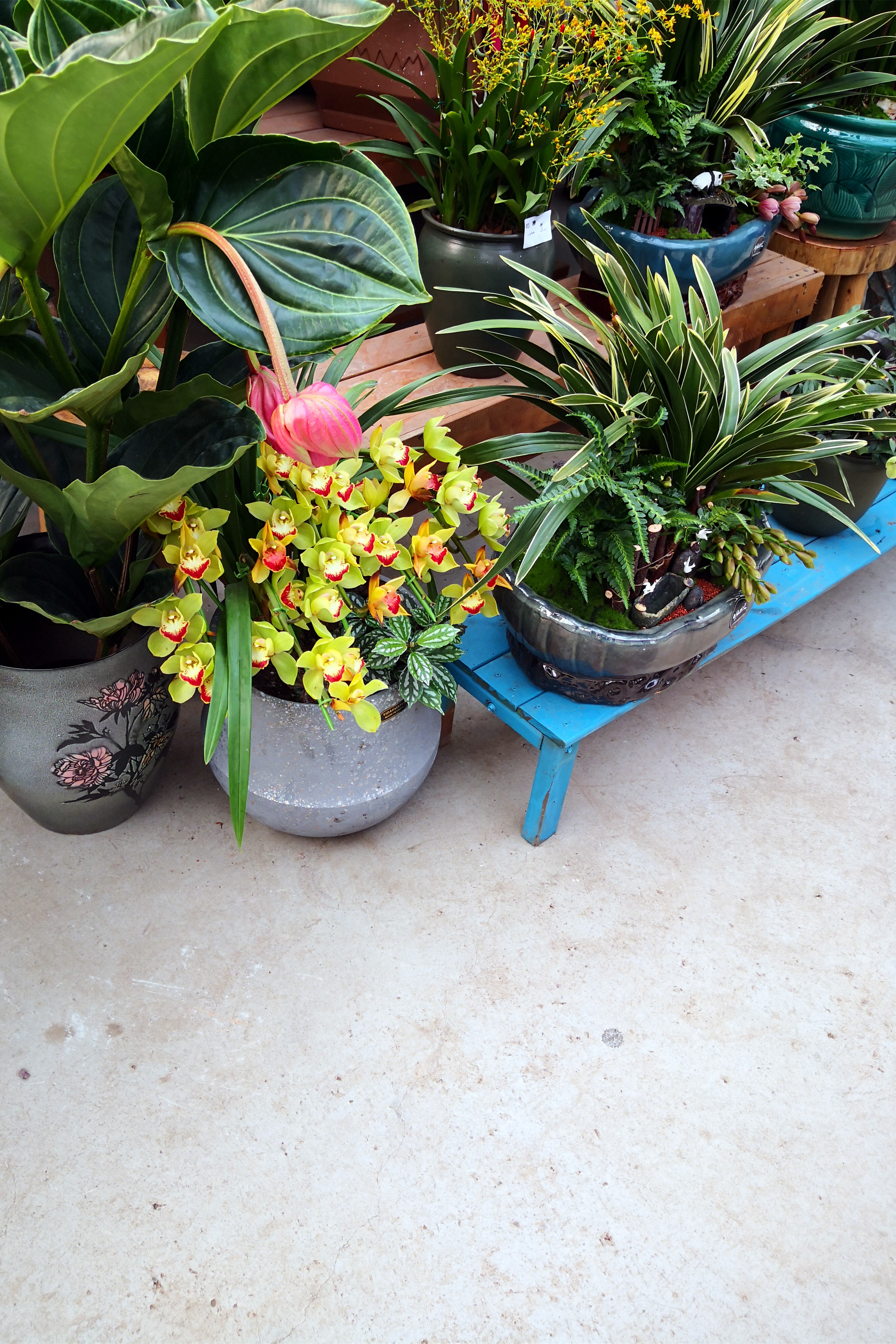 东营最大的花卉批发市场在哪里,东营地区哪里有花卉市场