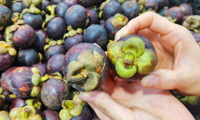 山竹挑选小技巧,山竹的挑母方法