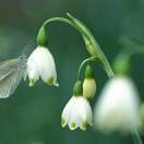 被丈夫暴打的她离家出走活出了自己的精彩，之后又把女儿接到身边