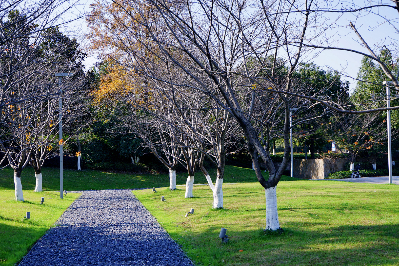 良渚君澜双人温泉,冬日暖阳泡温泉