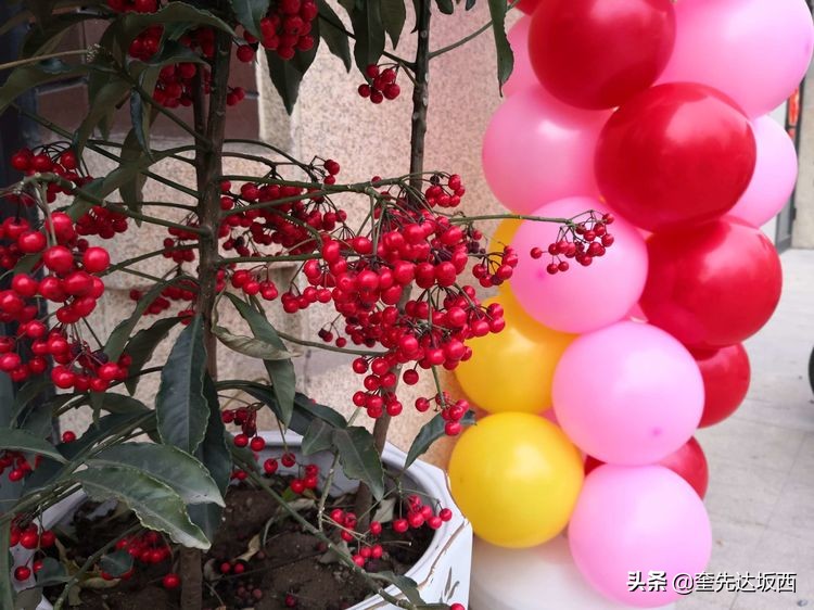 故事：让人心焦的磕头机