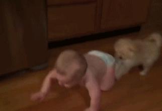 混蛋有什么意思,魂淡是什么梗