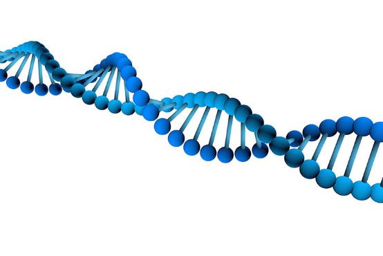 乱补雌激素引发乳腺癌,补雌激素能导致乳腺癌吗