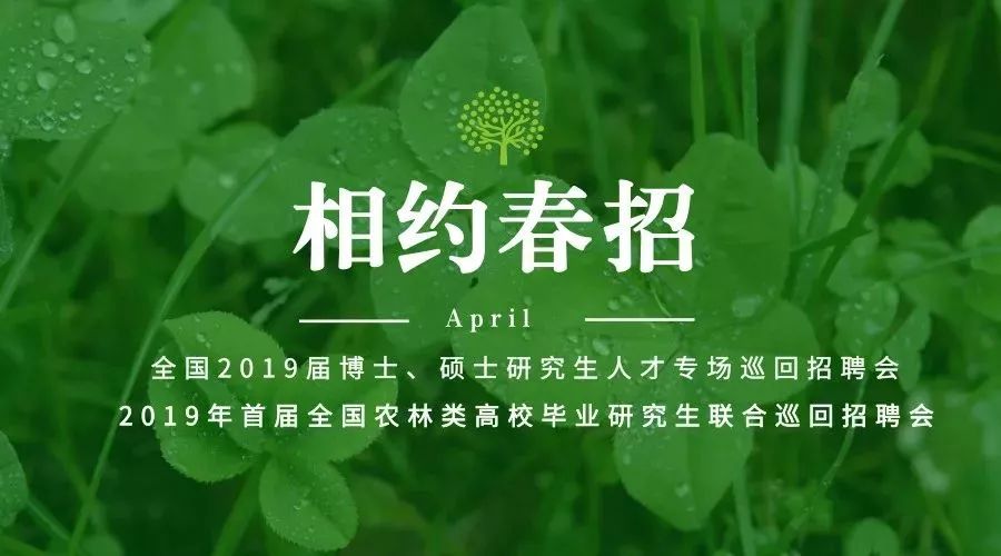 求职应聘必胜宝典,求职攻略宝典