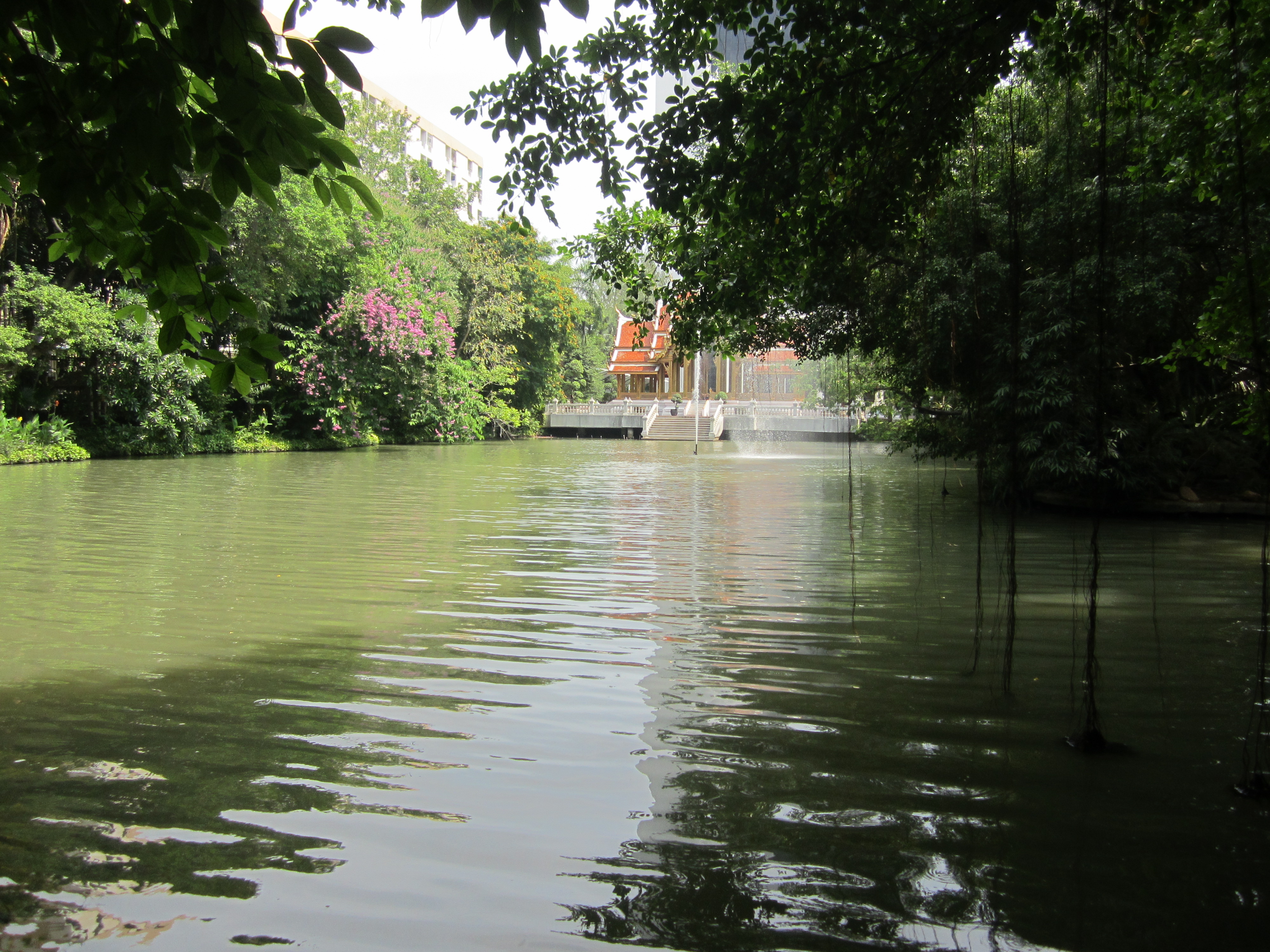 泰国留学的真实情况竟是这样的,为什么去泰国留学那么容易