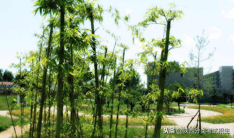 魅丽校园行之-汉中职业技术学院