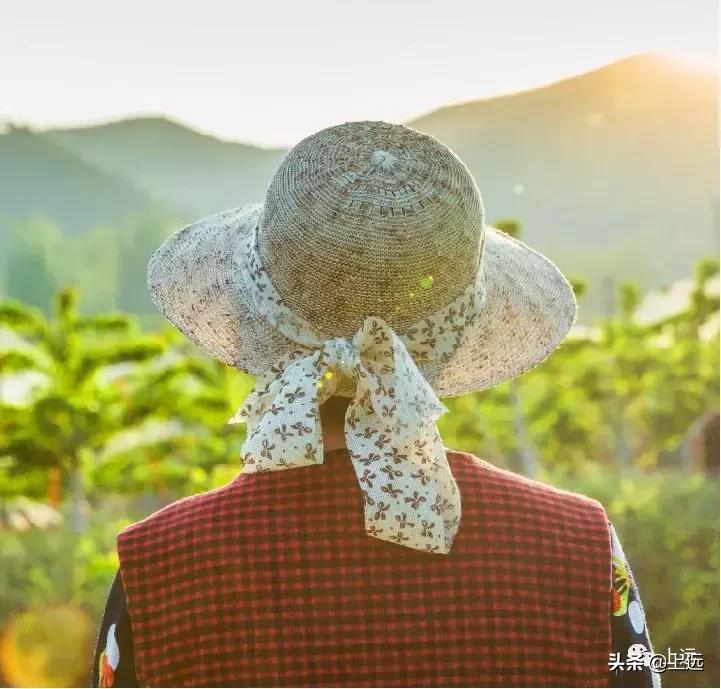 农副产品品牌策划设计,农副产品集合图片