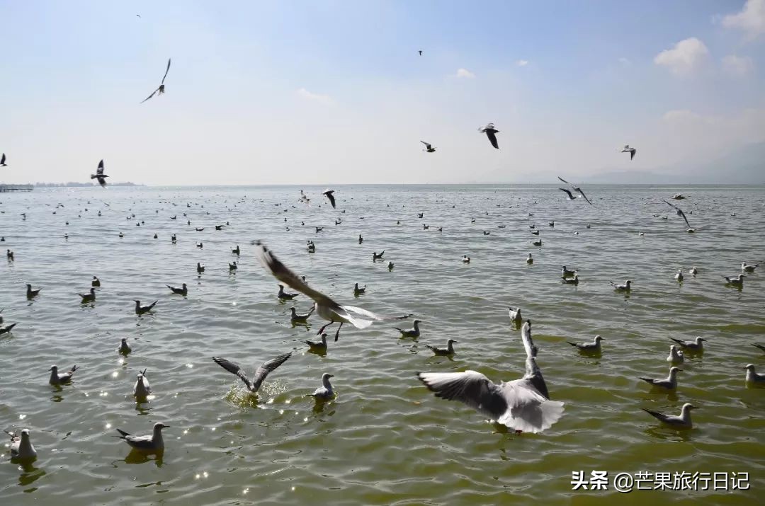 女孩子一个人去云南旅游三月份,一个女生去广州旅游