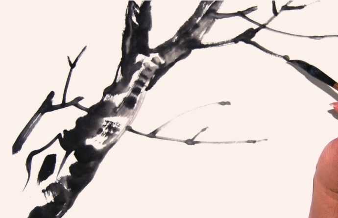 国画教程零基础入门树的画法,国画花卉线稿教程大全