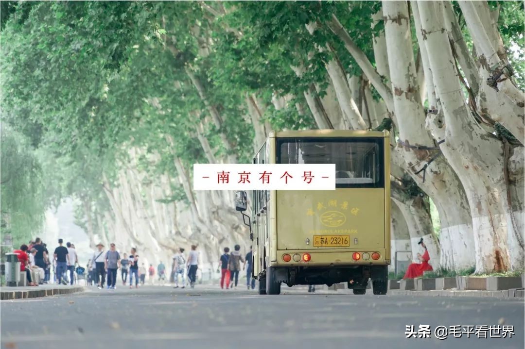 你眼中的南京是什么样子,你眼中的南京