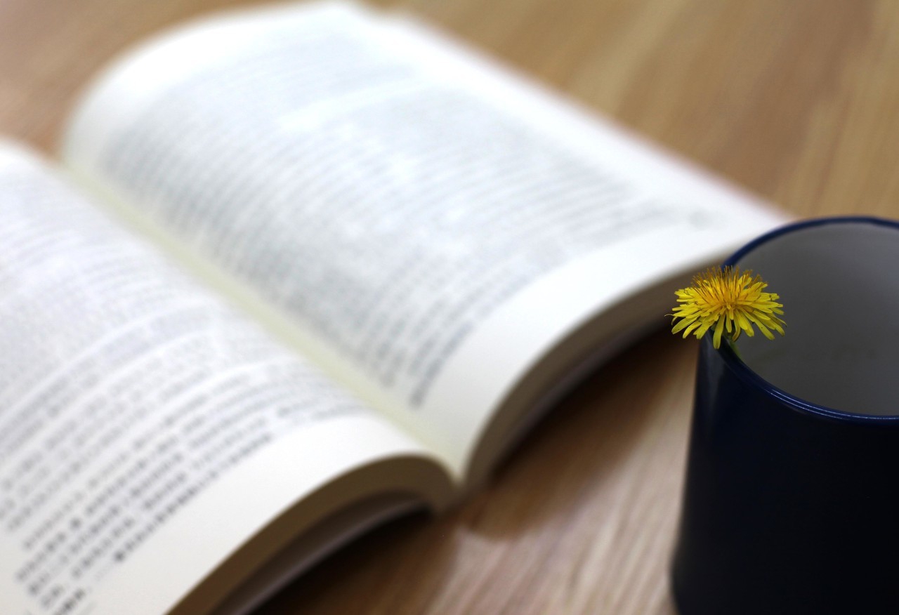 山海经中的桃源仙境,山海经中的观音草