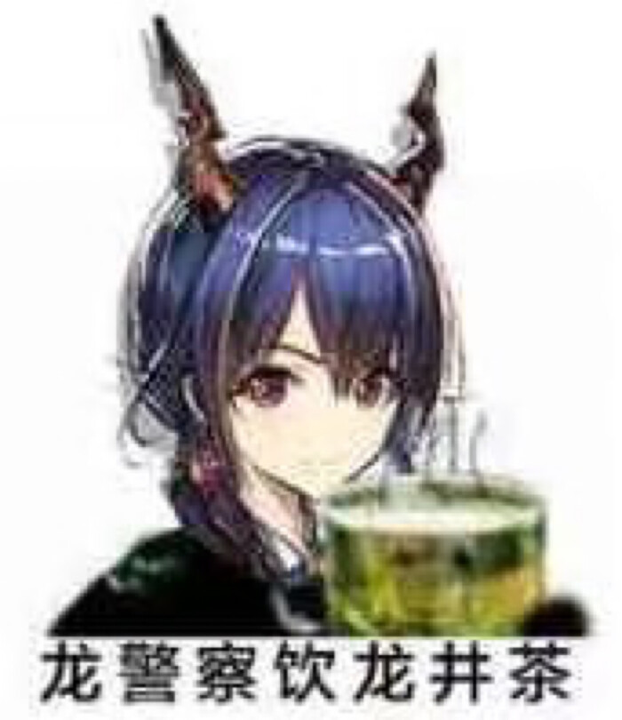 明日方舟斯卡蒂与承太郎,明日方舟沙雕梗图