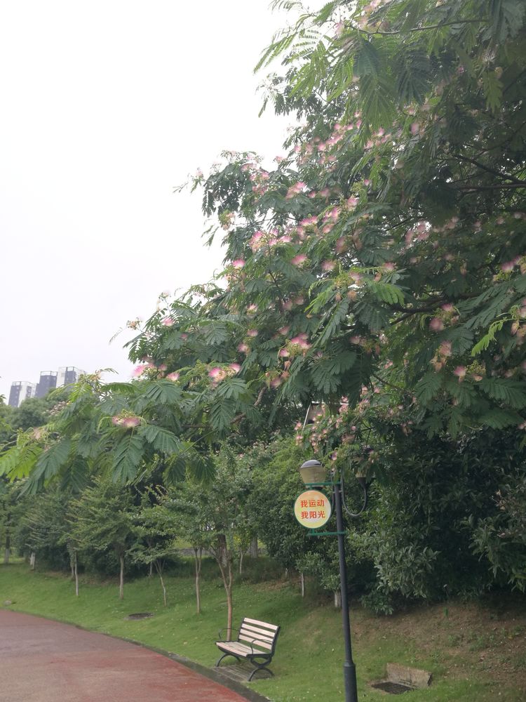 环湖，让我穿行在大冶的历史与当今之间——大冶尹家湖徒步纪事