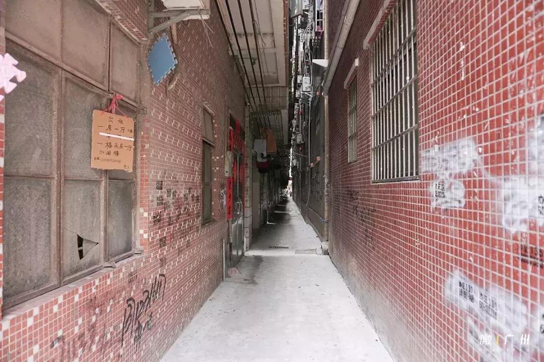 嘉禾望岗有便宜的房子租吗,嘉禾望岗租房可以吗