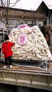 看了整整七分钟，他们最终还是上去了