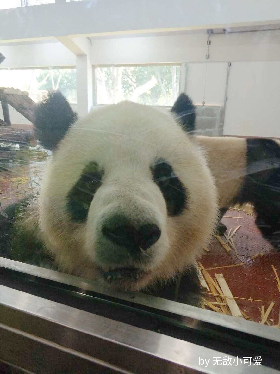 因为你们，“爱豆”的世界离我们不再远咯