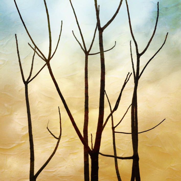 摄影抽象美学,抽象创意摄影作品欣赏