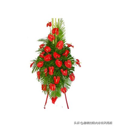 开业花篮怎么选又大气又好看,开业花篮高级感一对