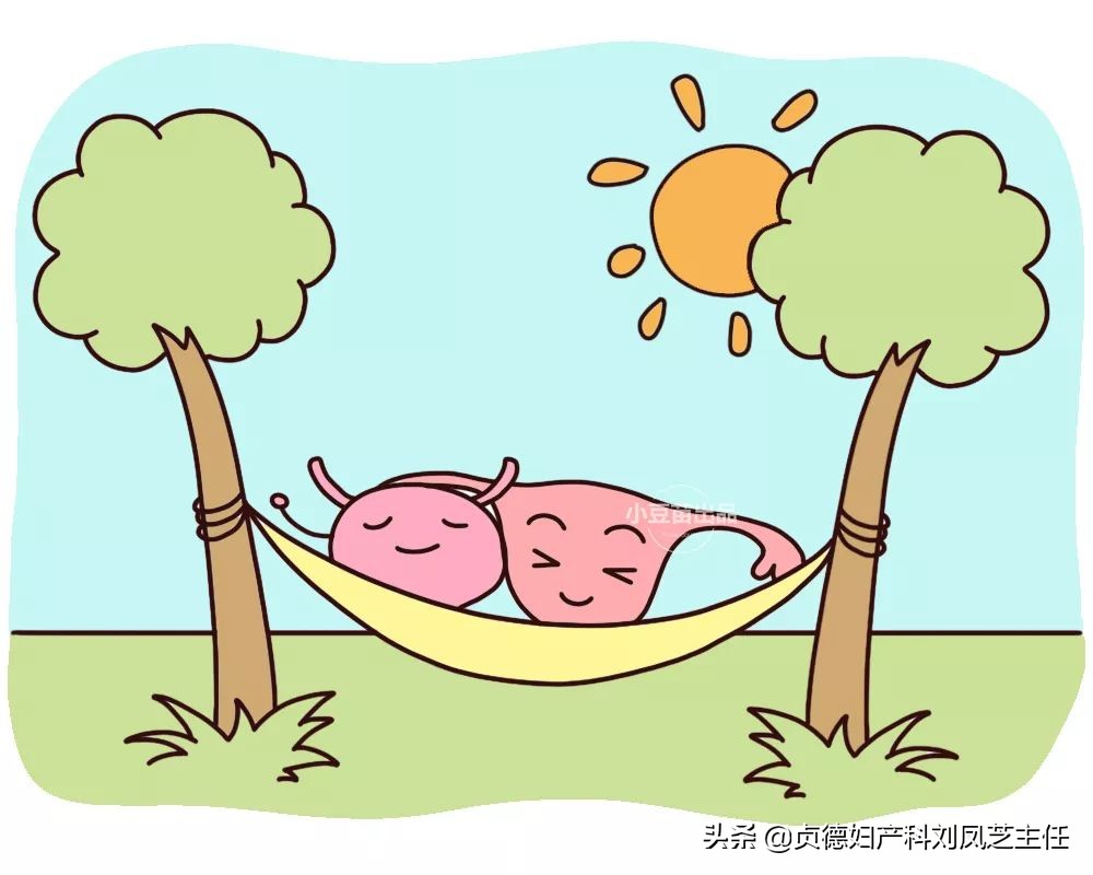 我叫盆底肌，妈妈们，求求你们管管我吧