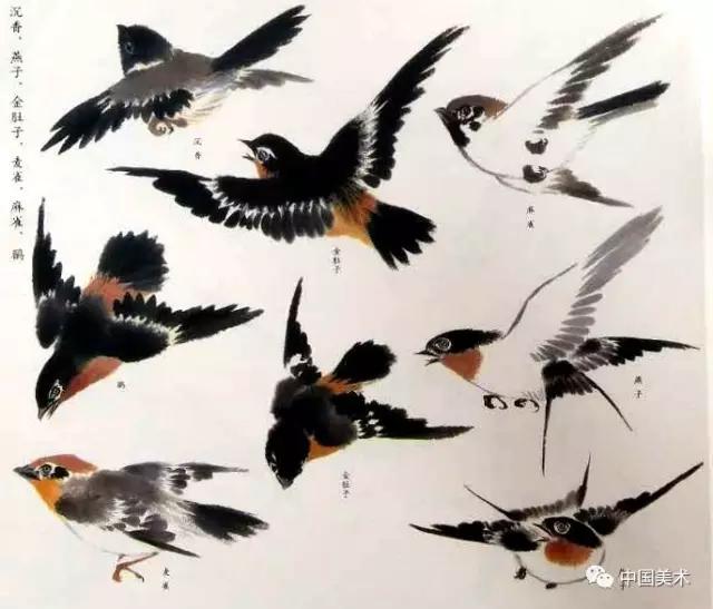 禽鸟画教程,最简单的禽鸟画法