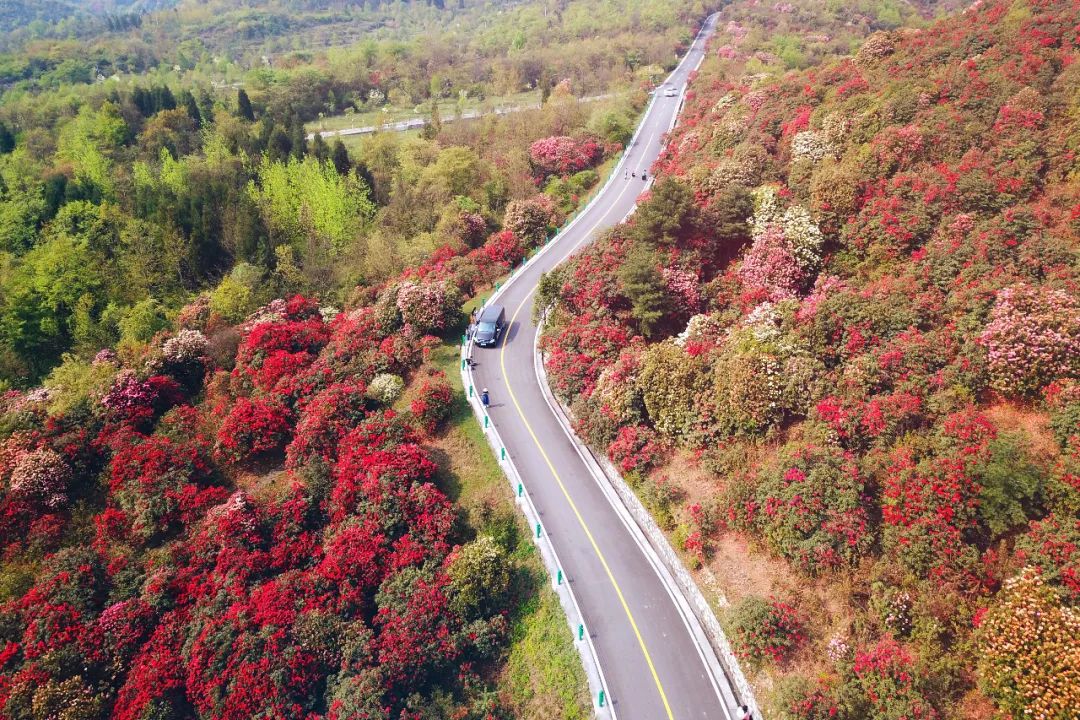 贵州有好多景点,贵州今年比较火的景点