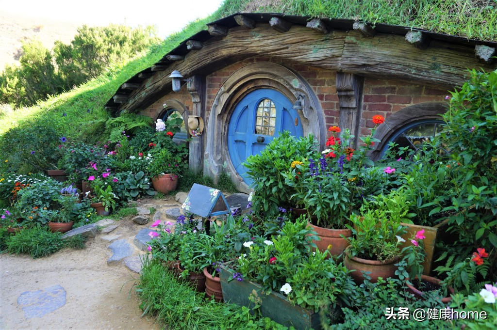 新西兰霍比特人村攻略,新西兰霍比特蓝泉一日游