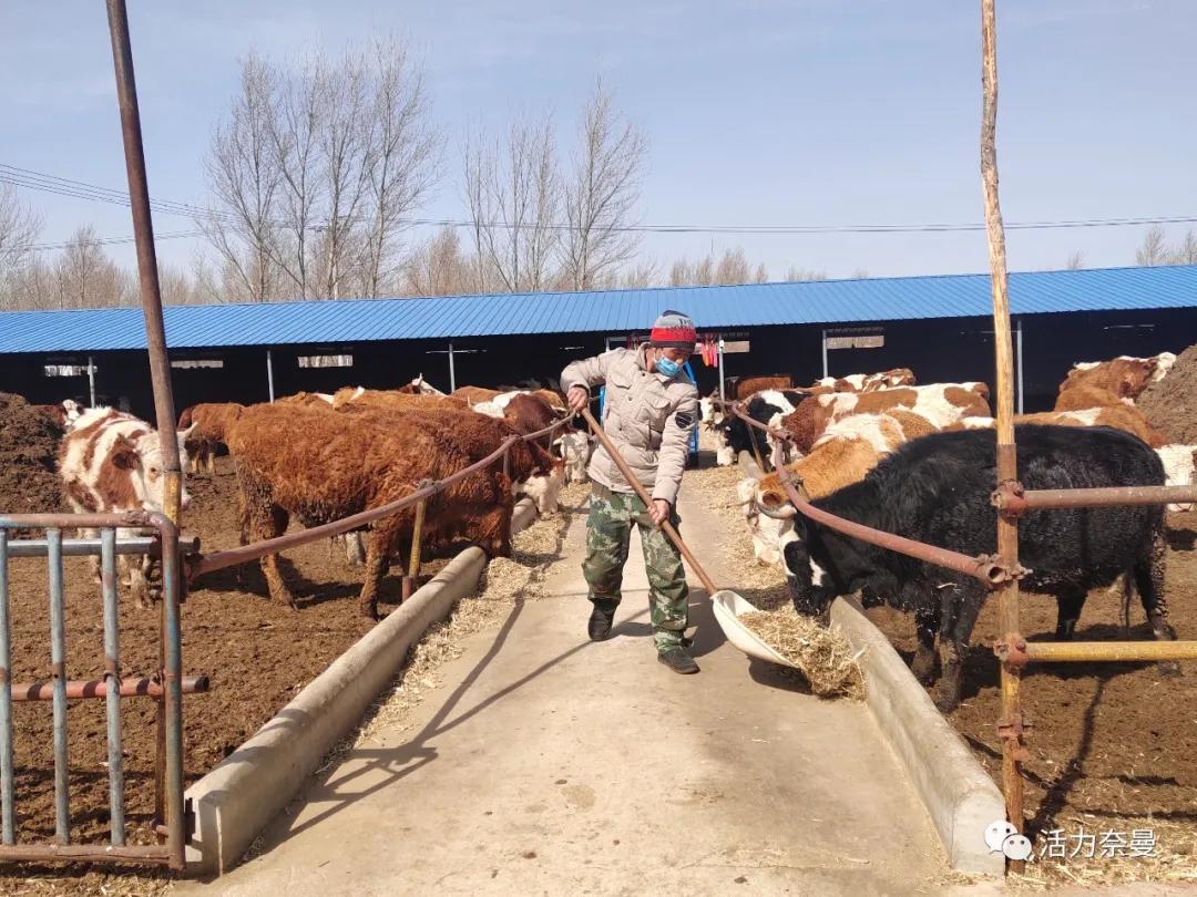 奈曼扶贫一点通,奈曼百企帮百村扶贫