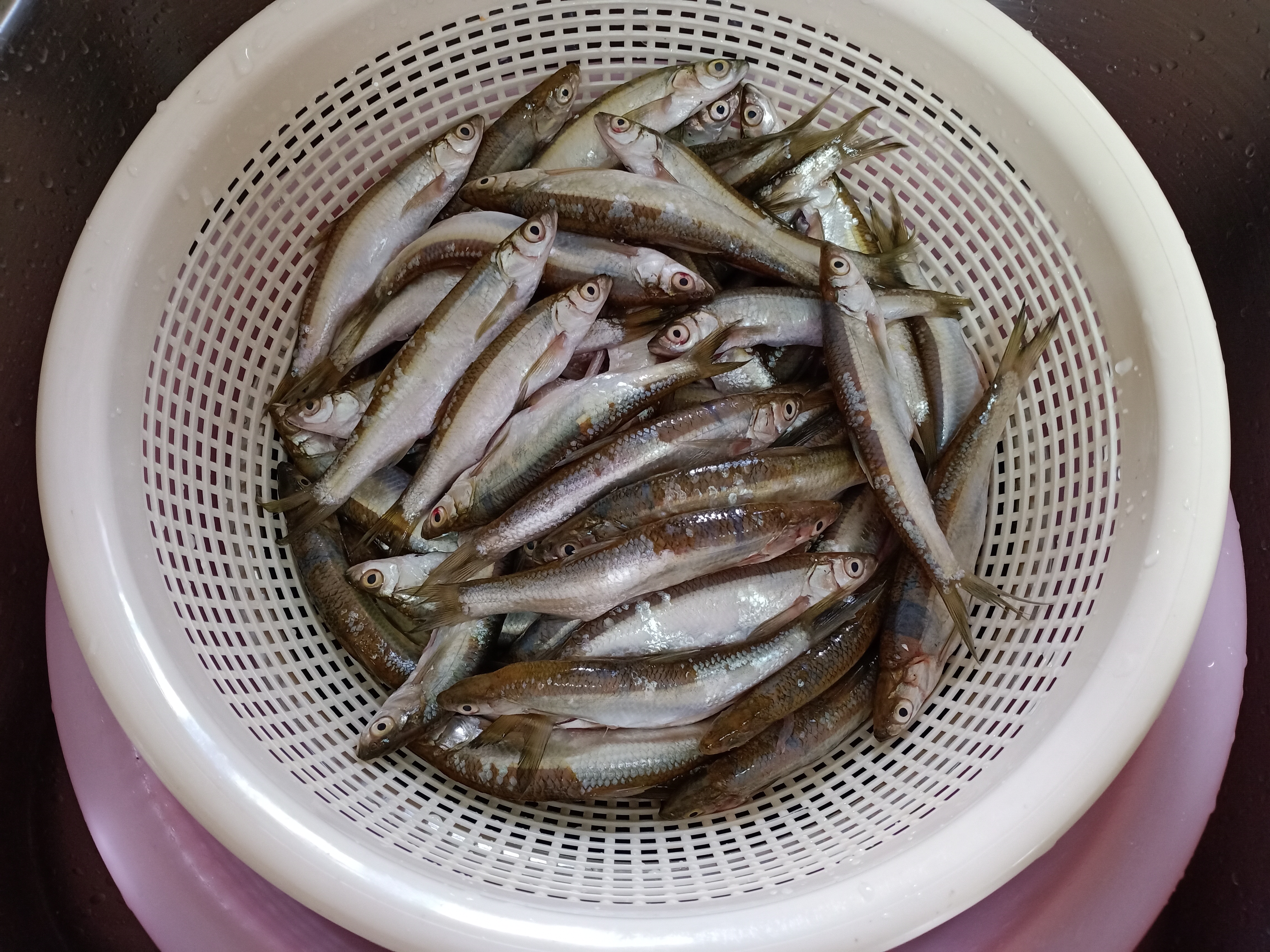 自制豆豉酱炒老干妈,小河鱼干酱做法