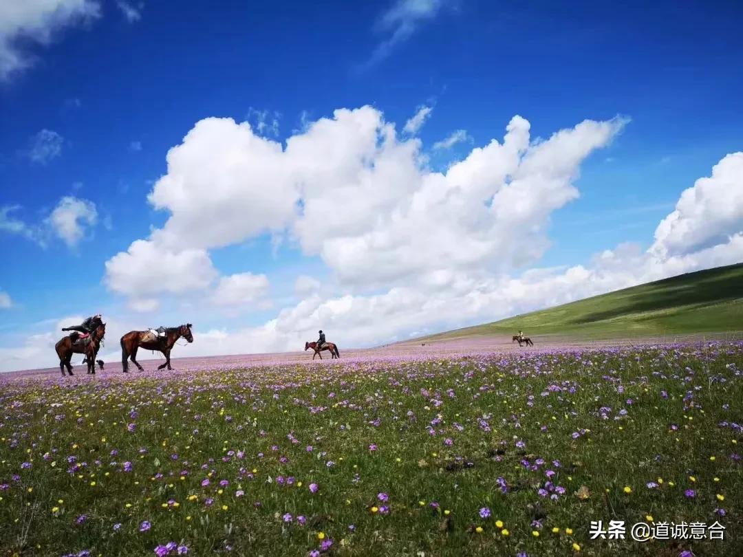 *疆新**农场的牛奶，奶味浓香到治愈全世界！每次都想去舔下瓶盖。