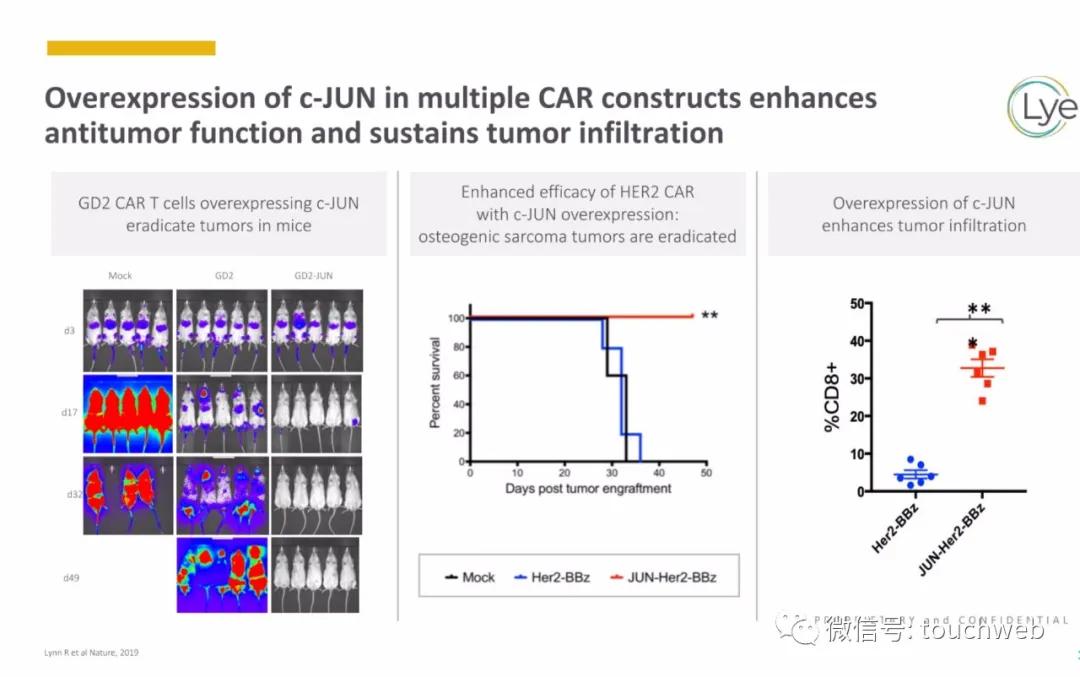 肿瘤免疫治疗公司Lyell冲刺美股：年亏2亿美元路演PPT曝光