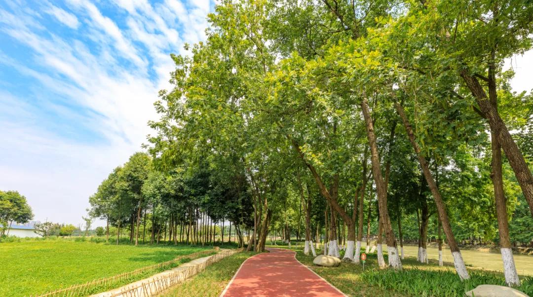 郫都区最好前三个镇排名榜,郫都区排行榜前十名