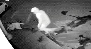 2019奇葩新闻搞笑大合集,你见过最奇葩搞笑的新闻是什么