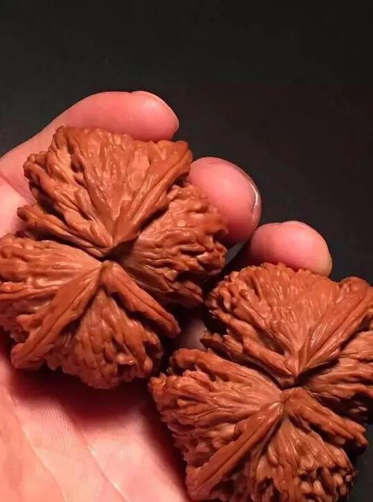 文玩核桃阴皮和返油怎么办？刚人坑文玩伙伴欢迎评说！