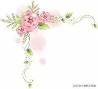 描写观察小动物的作文方法,写作观察的技巧和方法