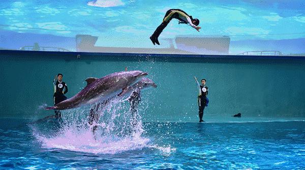 南昌融创城游玩攻略,南昌玛雅乐园和融创乐园哪个好玩