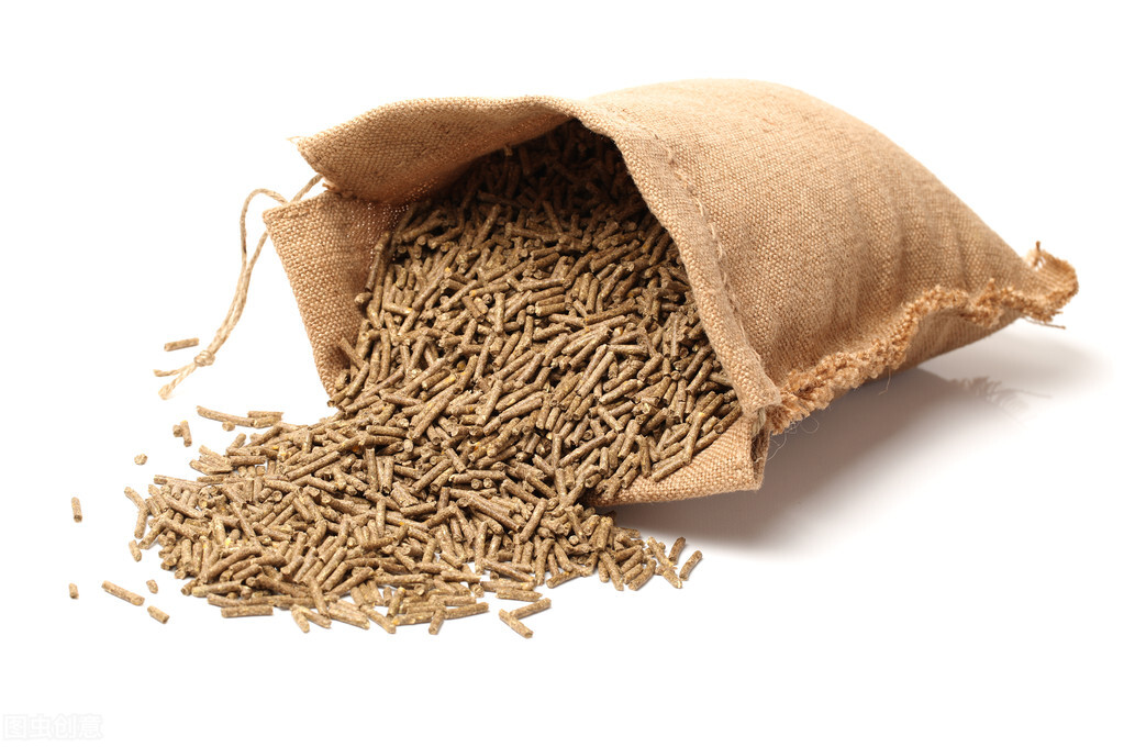 家兔吃什么饲料好养殖,家兔需要喂水吗