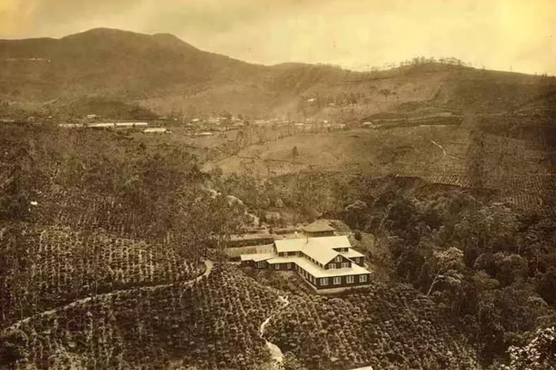 100年坑蒙拐骗，英国怎么抢走了大清的商业王座