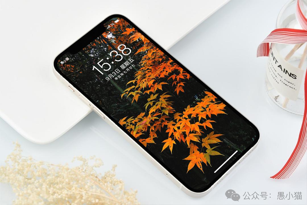 高清风景壁纸｜你静候着秋天的温柔，留我在风景之外