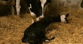 人体科普bbc,bbc人体科学