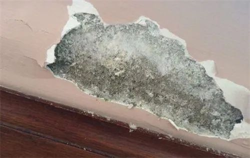 墙面起碱脱落是用草酸去碱吗,墙面泛碱处理