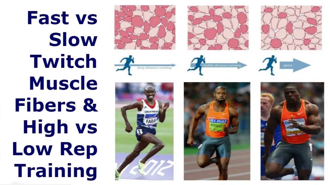 弹跳力是天生还是后天练,弹跳力是天赋决定的吗