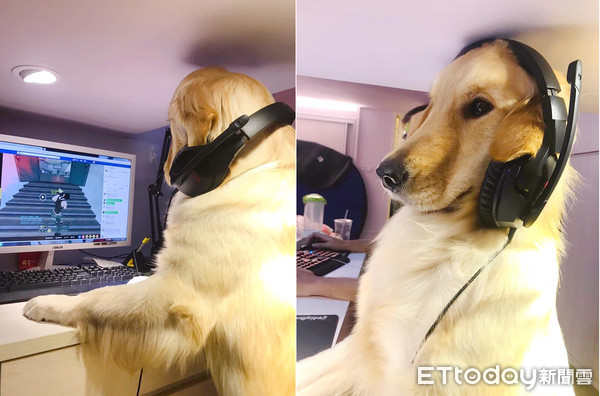 拒当靠爸族！俏丽金妞客串实况主5分钟　粉丝4200颗星星