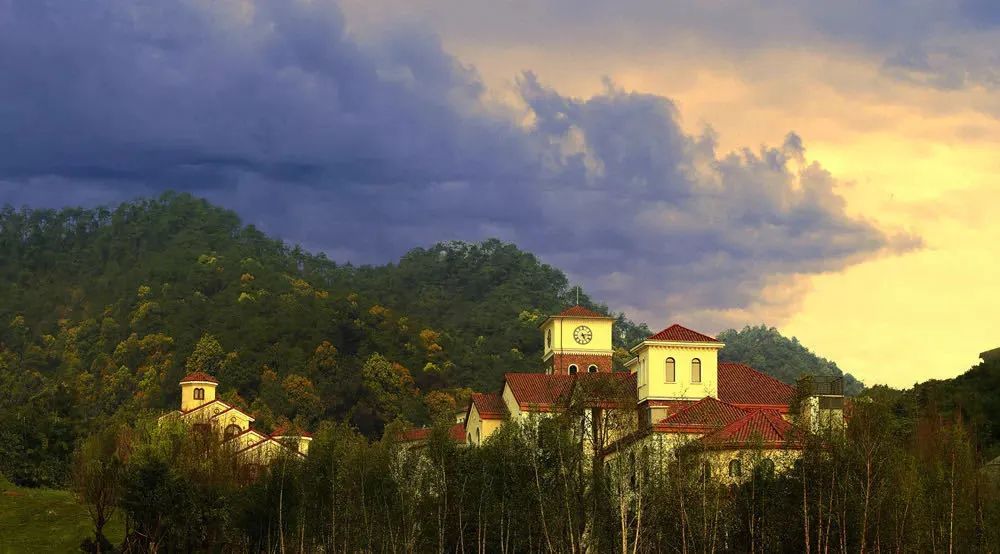 从十里蓝山到国博山，深耕13载与重庆共“未来”
