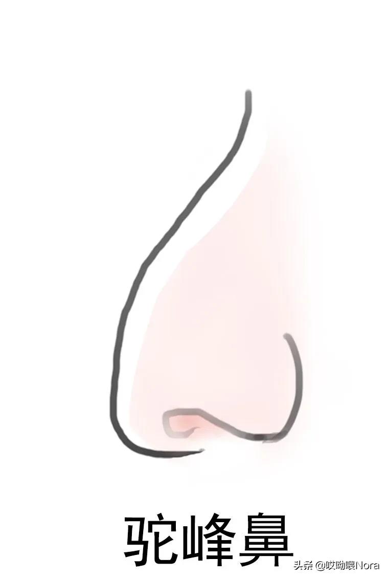 最自然的小翘鼻,鼻综合小翘鼻图片