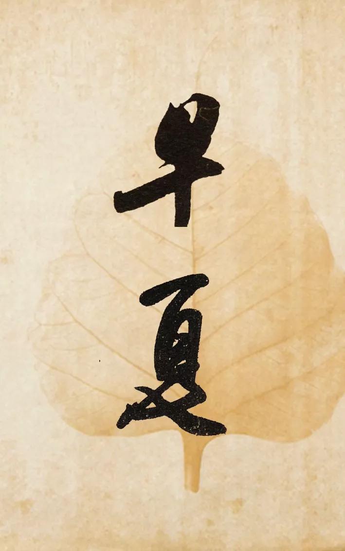 书法夏天落款怎么写,今年书法夏天怎么落款