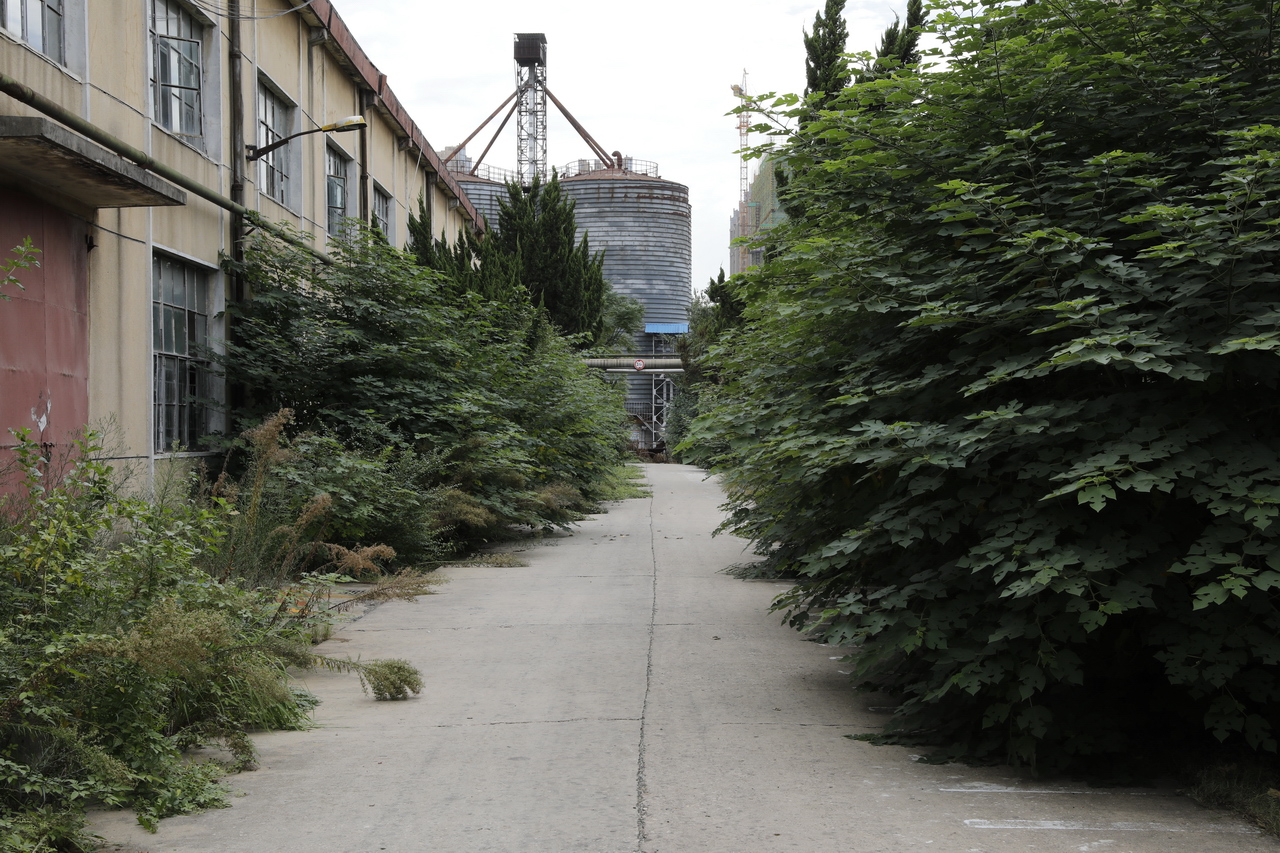 武汉东西湖产的雪花啤酒,东西湖雪花啤酒厂2015年