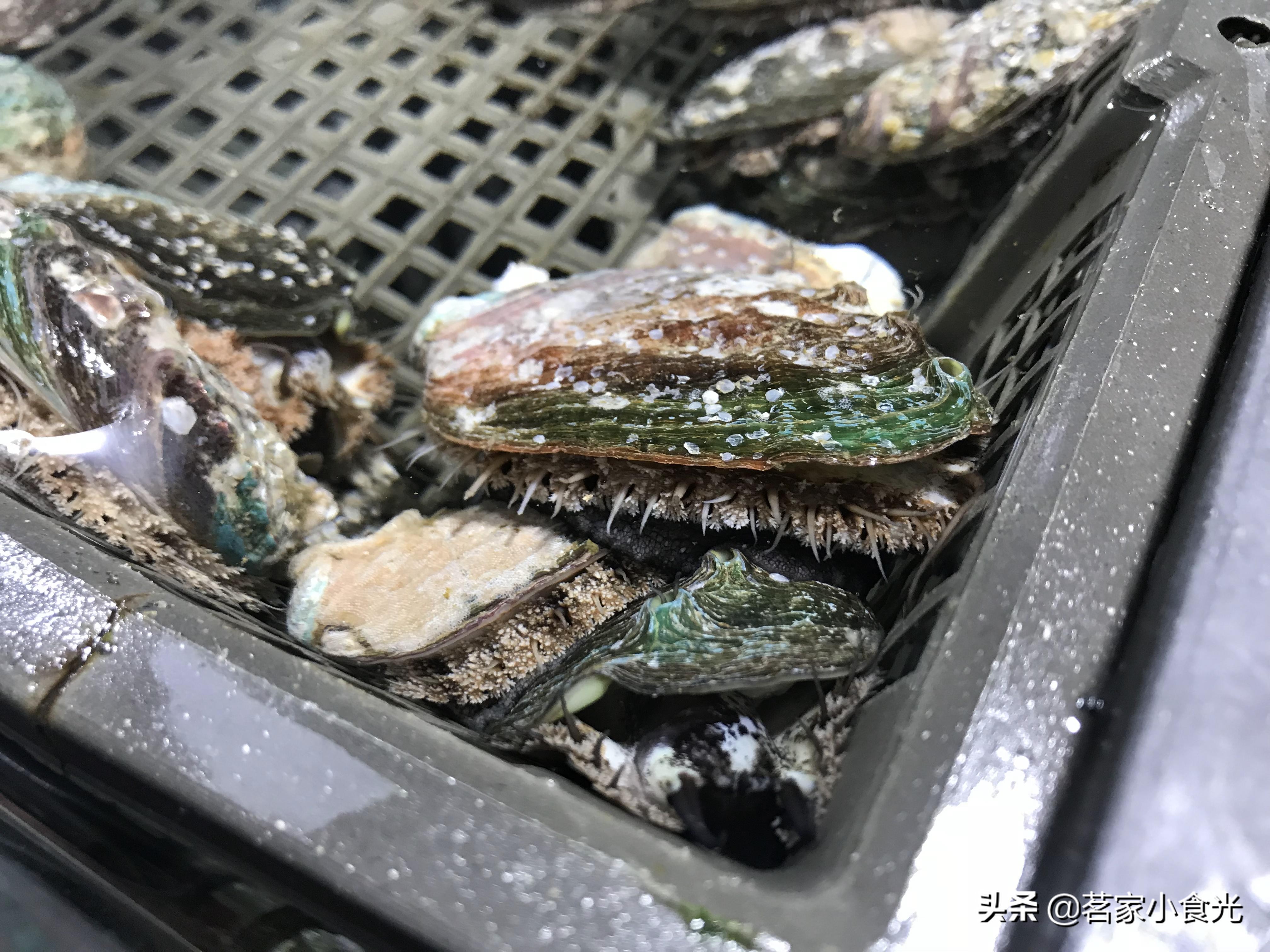 探店石家庄高端自助,吃喝玩转石家庄探店价格