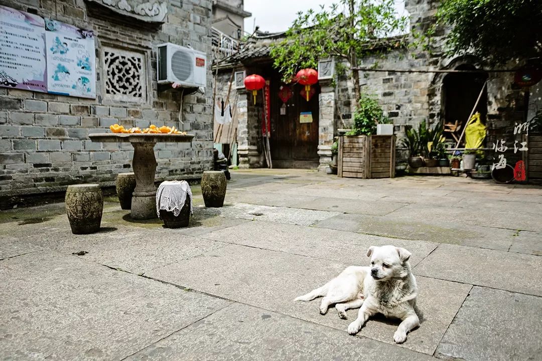 一条历经千年的街,中国真正的千年古街