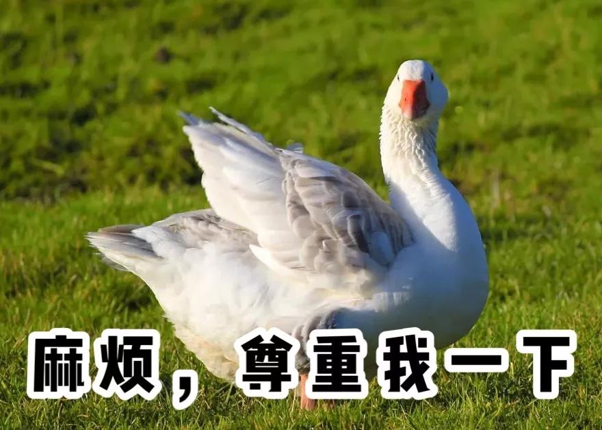 衣柜乱糟糟不够用,超实用衣柜收纳让你多塞30件衣服