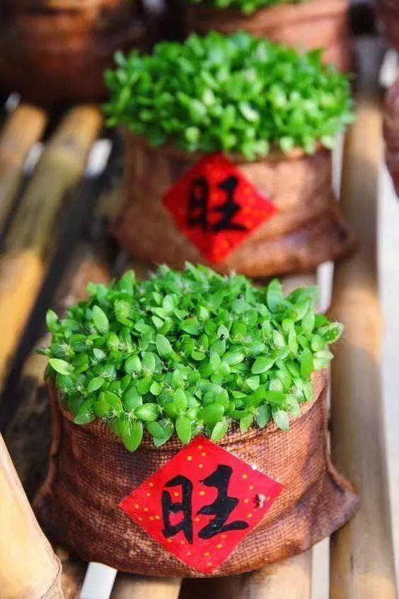 结婚周年家庭装饰,小孩生日家庭简单装饰